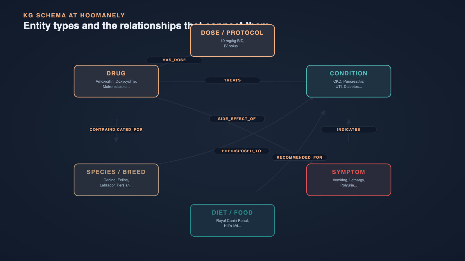 Our knowledge graph schema at Hoomanely. Each entity type — drug, condition, symptom, species, diet,