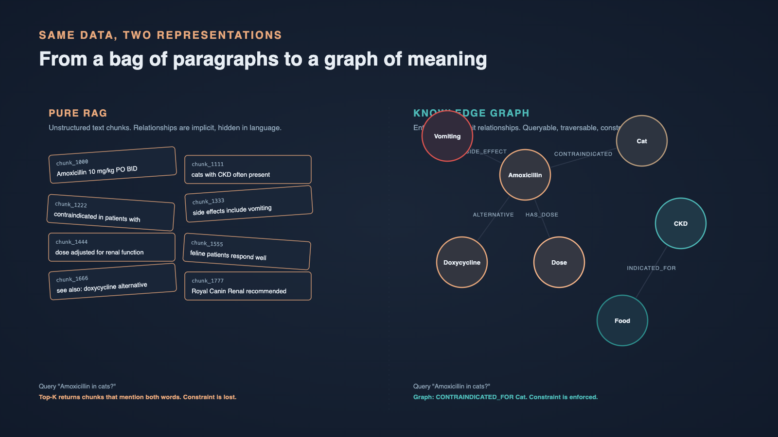 Two representations of the same veterinary information: an unstructured "bag of paragraphs" on the l