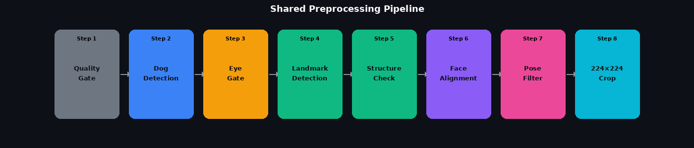 diagram_preprocessing.png
