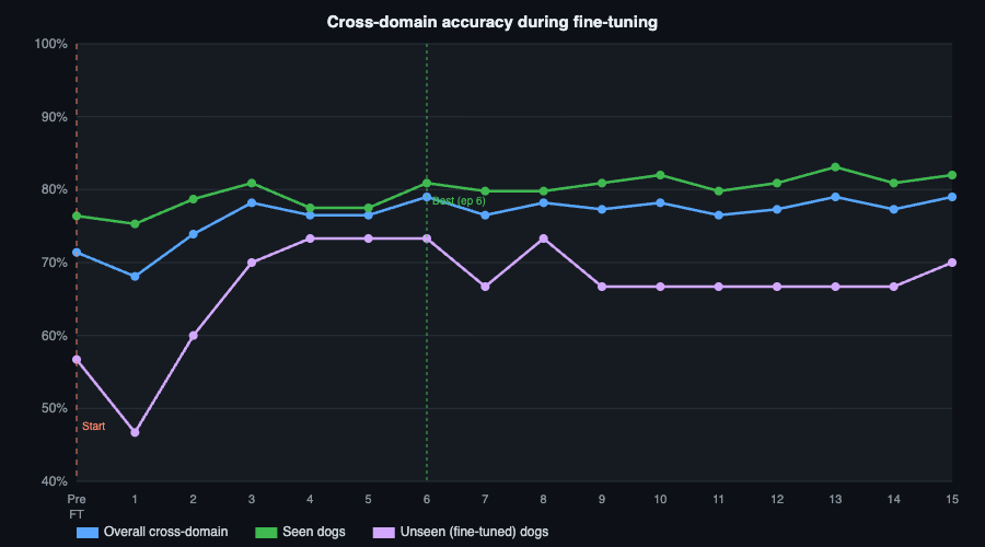 Cross-domain accuracy during fine-tuning