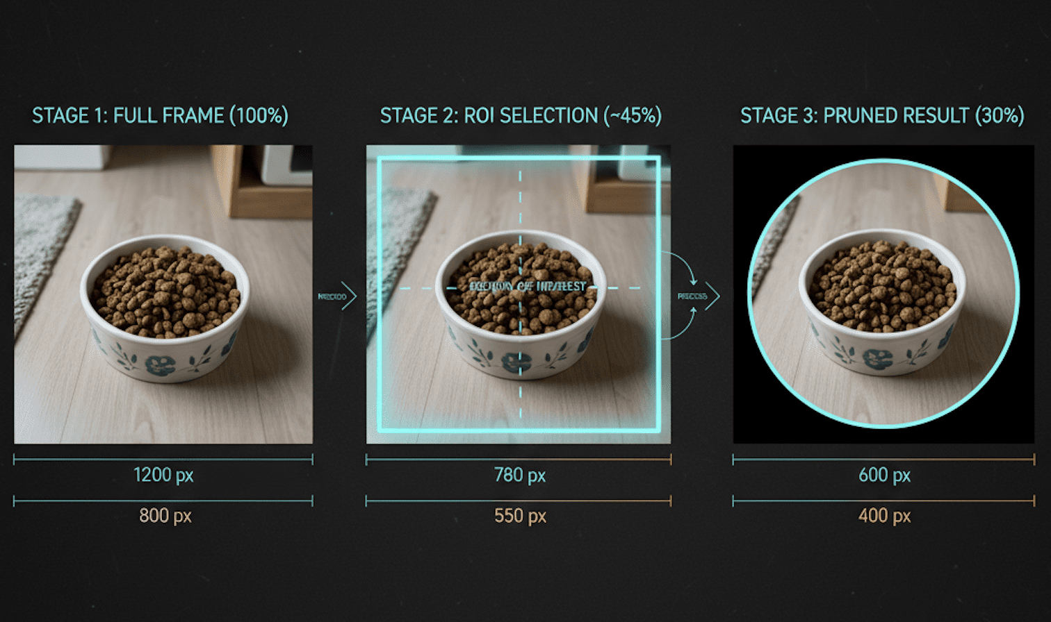 Image pipeline reduction diagram showing capture, pruning, stripping, and compression stages