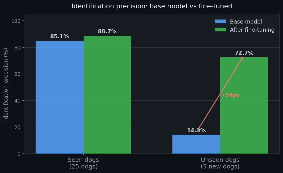Identification precision: base model vs fine-tuned