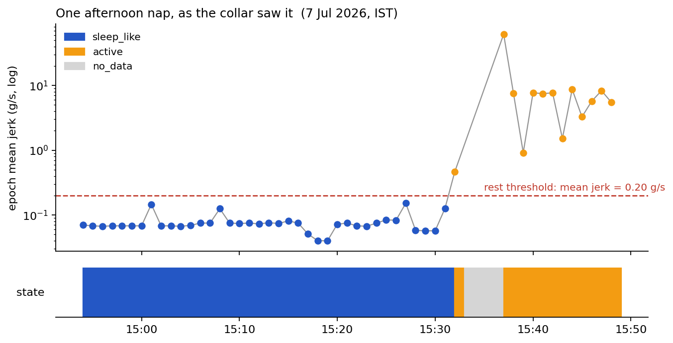 Log-scale jerk per epoch across a nap and wake-up, with state strip below