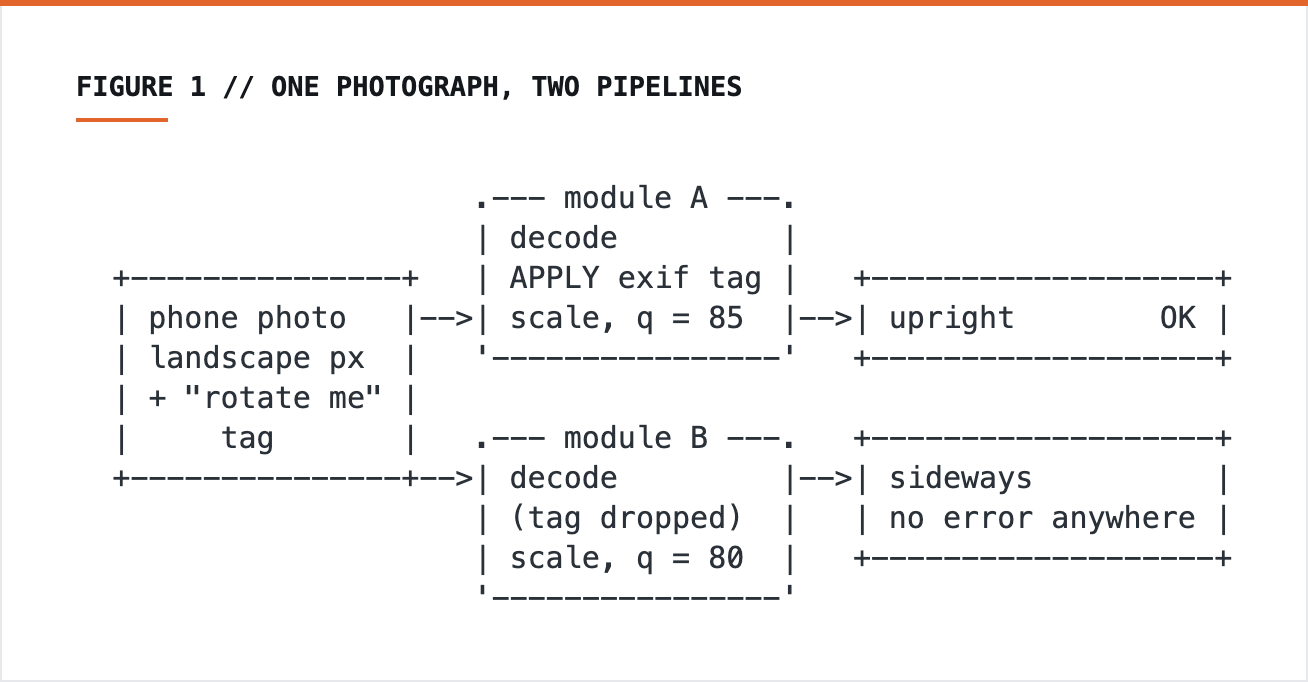 ASCII diagram: one phone photo fed through two thumbnail modules; module A applies the EXIF tag and renders upright, module B drops it and renders sideways with no error