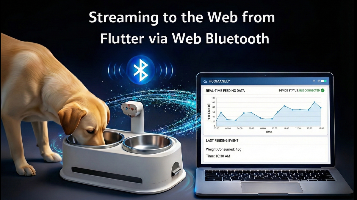 Streaming to the Web from Flutter via Web Bluetooth