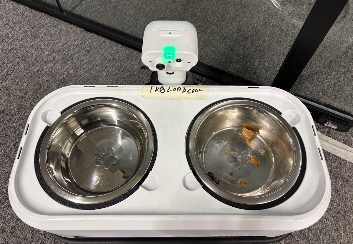 Training Production Models Without the Luxury of Big Data