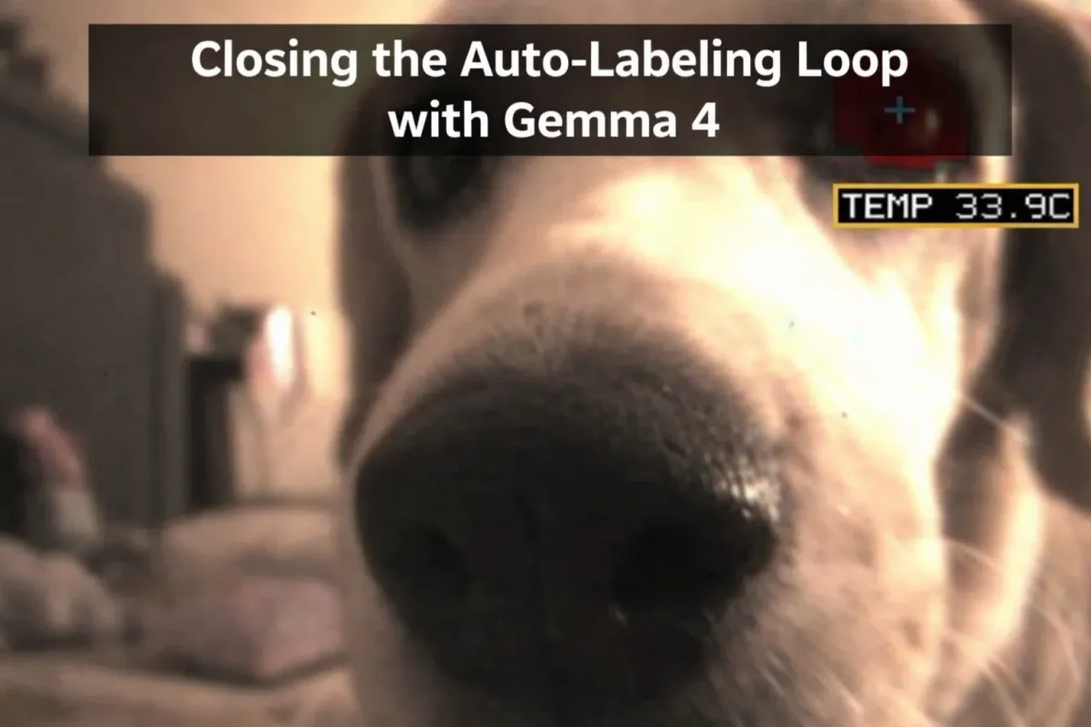 Closing the Auto-Labeling Loop with Gemma 4