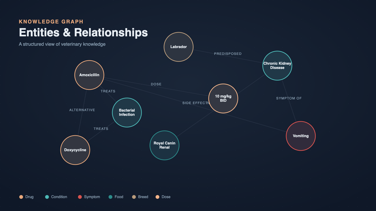 Knowledge Graphs at Hoomanely: How We Built an Alpha Layer Over RAG Retrieval