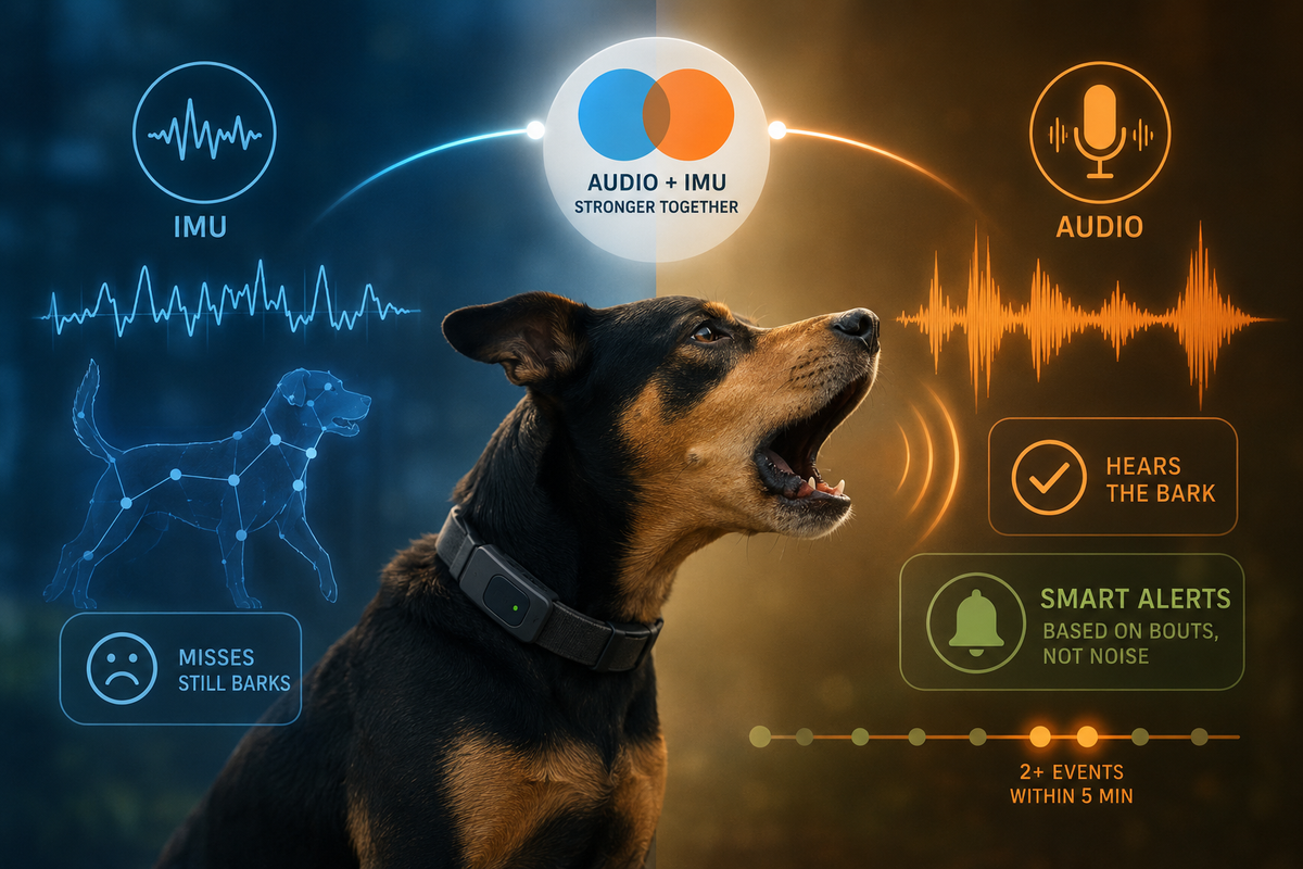 What The Training Runs Taught Us About IMU Bark Detection