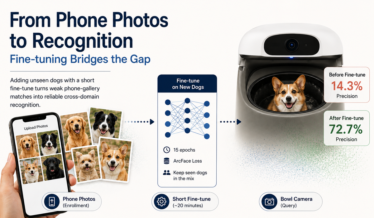 When the model meets a new dog: fine-tuning at enrollment time