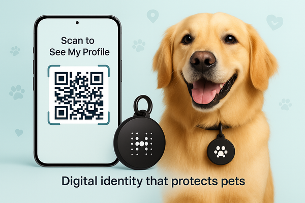 Building Dynamic QR Pet Tags: Secure Deep Links & Real-Time Identity Sync