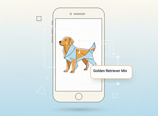 Beyond the Dropdown: Engineering a Seamless Onboarding