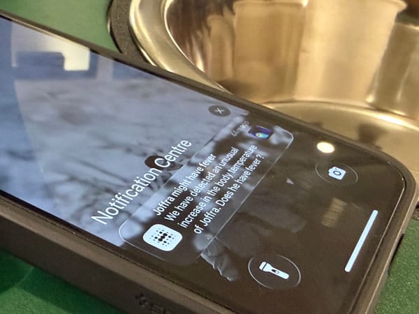 Closing the Loop: How User Feedback Calibrates Our AI
