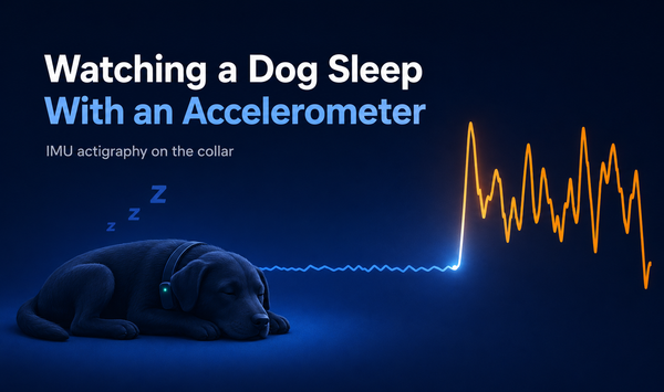 Watching a Dog Sleep With an Accelerometer