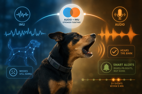 What The Training Runs Taught Us About IMU Bark Detection