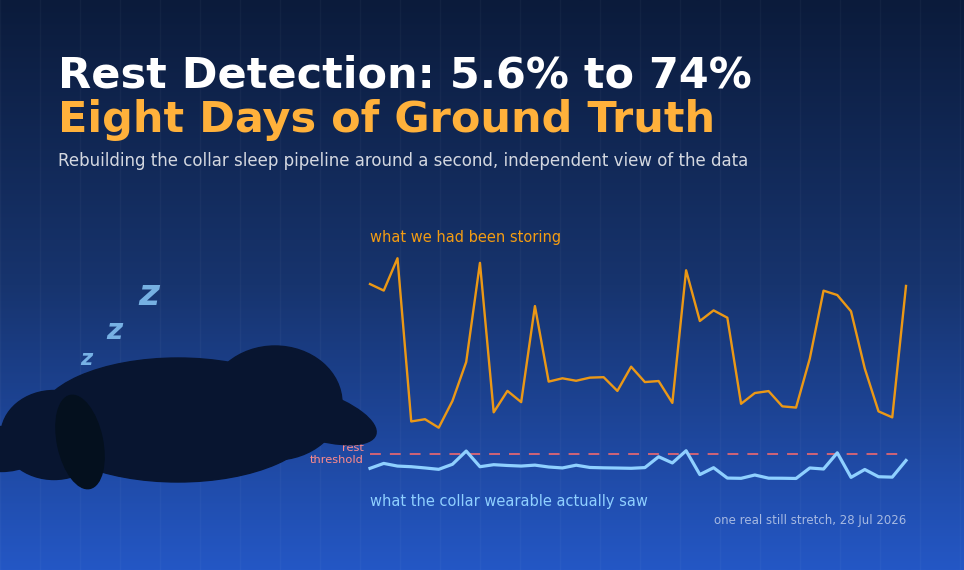 Sleeping dog beside a real 40-minute series from 28 July: a flat trace of what the collar wearable saw, under the rest threshold, and the far higher values that were being stored