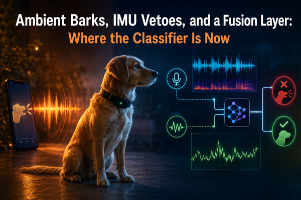 Ambient Barks, IMU Vetoes, and a Fusion Layer: Where the Classifier Is Now
