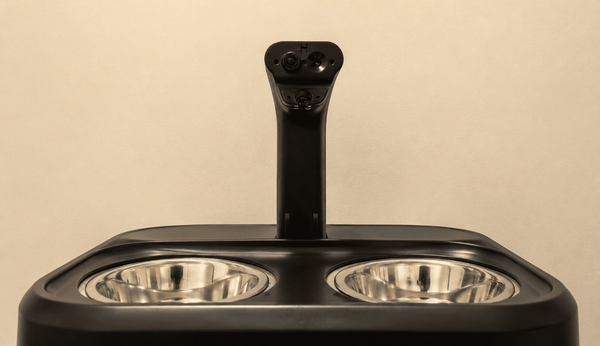 Everbowl image