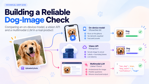 Building a Reliable Dog-Image Check