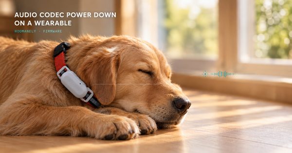 Audio codec power down on a wearable: recording only on demand